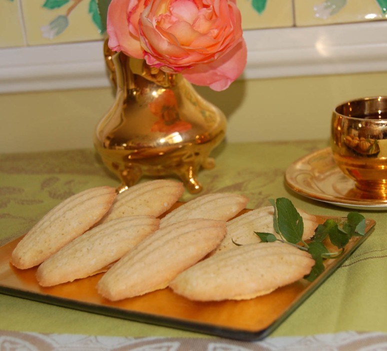 coconut madelines flash